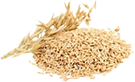 Marshmallow root ingredient image